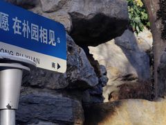 -朴园
