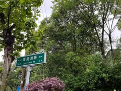 -扬州市茱萸湾风景区