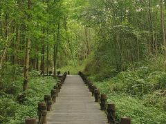 -桤木河湿地公园