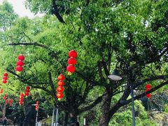-蒋氏故居