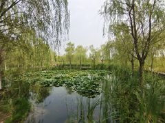 -永定河休闲森林公园