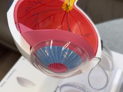 -武汉大学附属爱尔眼科医院(湖北总院)