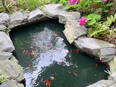 -谷咖啡·鲜花绿植花园餐厅