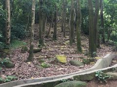 -火炉山森林公园