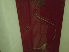 -纽斯洗浴SPA(三墩店)