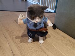 -CAT’S MEWSTAR CAFE·喵星球猫屋(晴湾咖啡店)