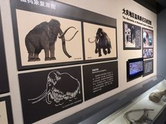 -大庆市博物馆
