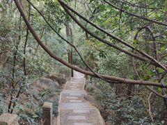 -深圳国际园林花卉博览园