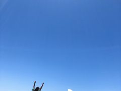 -悉尼歌剧院