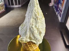 -野人先生现做冰淇淋(北京顺义祥云小镇店)