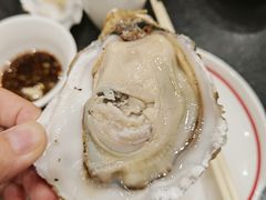 -飞尝蚝·顺德菜·鱼生(顺德总店)