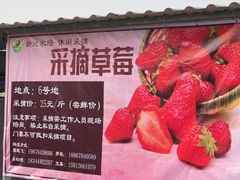 -新地休闲农场