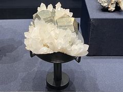 -山东博物馆