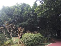 -光明港公园