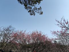 -无锡梅园公园