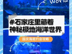 -石家庄极地海洋世界