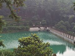 iphone_upload_pic-旺山景区