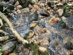 -海南热带雨林国家公园吊罗山景区
