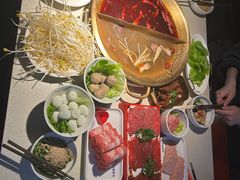 -小龙坎火锅(全球旗舰店)
