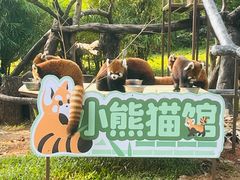 -广州动物园