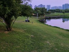 -洋湖国家湿地公园