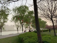 -咸阳湖景区