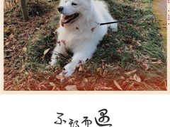-酒井酱子·深夜食堂(东城汇店)