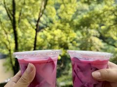 -巴倒烫陆派重庆火锅(南山店)