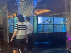 -王家渡火锅店(棕榈泉店)
