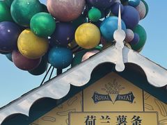 -荷兰花海
