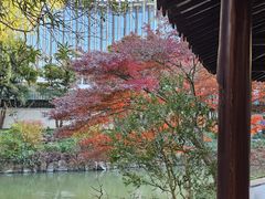 -上海醉白池公园