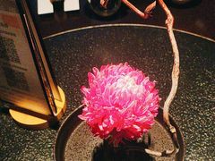 -大拙里·精致融合菜(沙湖桃源国际店)