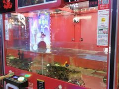 -布歌东京(合生汇店)
