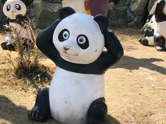 -泉州海丝野生动物世界