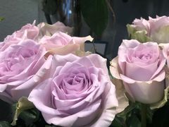 -BOBLOOM花店(宝龙旭辉广场店)
