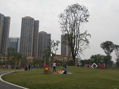 -府河摄影公园