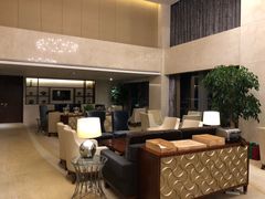 -新都绿城喜来登酒店大堂吧