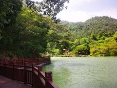 -广州白江湖森林公园