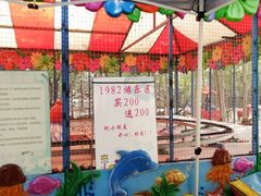 -1982农场