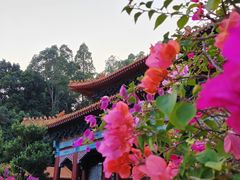 -南沙天后宫景区