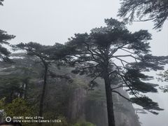 -黄山风景区