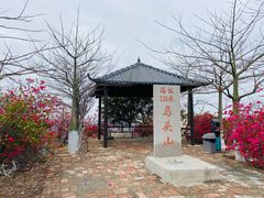 -马头山