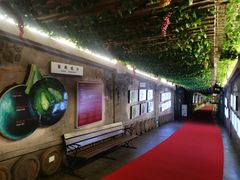 -青岛葡萄酒博物馆