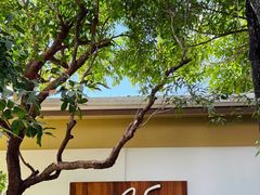 -Chom Cafe and Restaurant