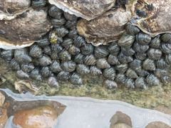 -东戴河风景区-止锚湾