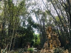 -望江楼公园