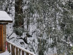 -龙苍沟森林公园