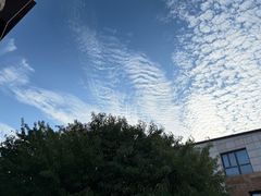 -天津东丽湖风景区