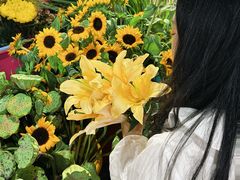 -循礼门鲜花花市(武汉循礼门店)