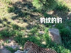 -西霞口神雕山野生动物世界